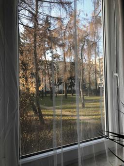Aleja Prymasa Tysiąclecia7